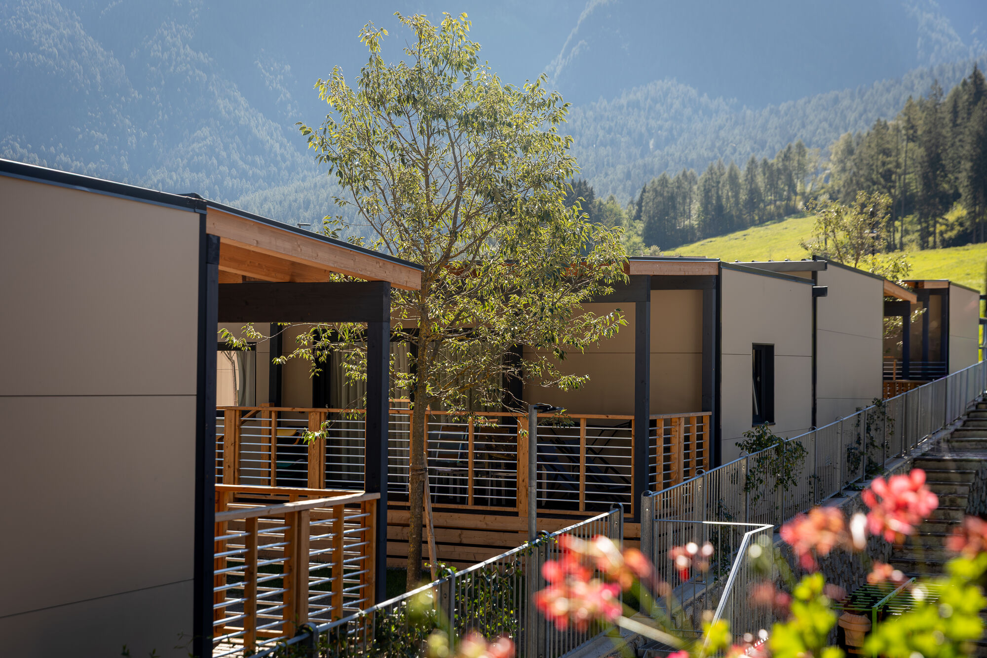 case in legno in trentino