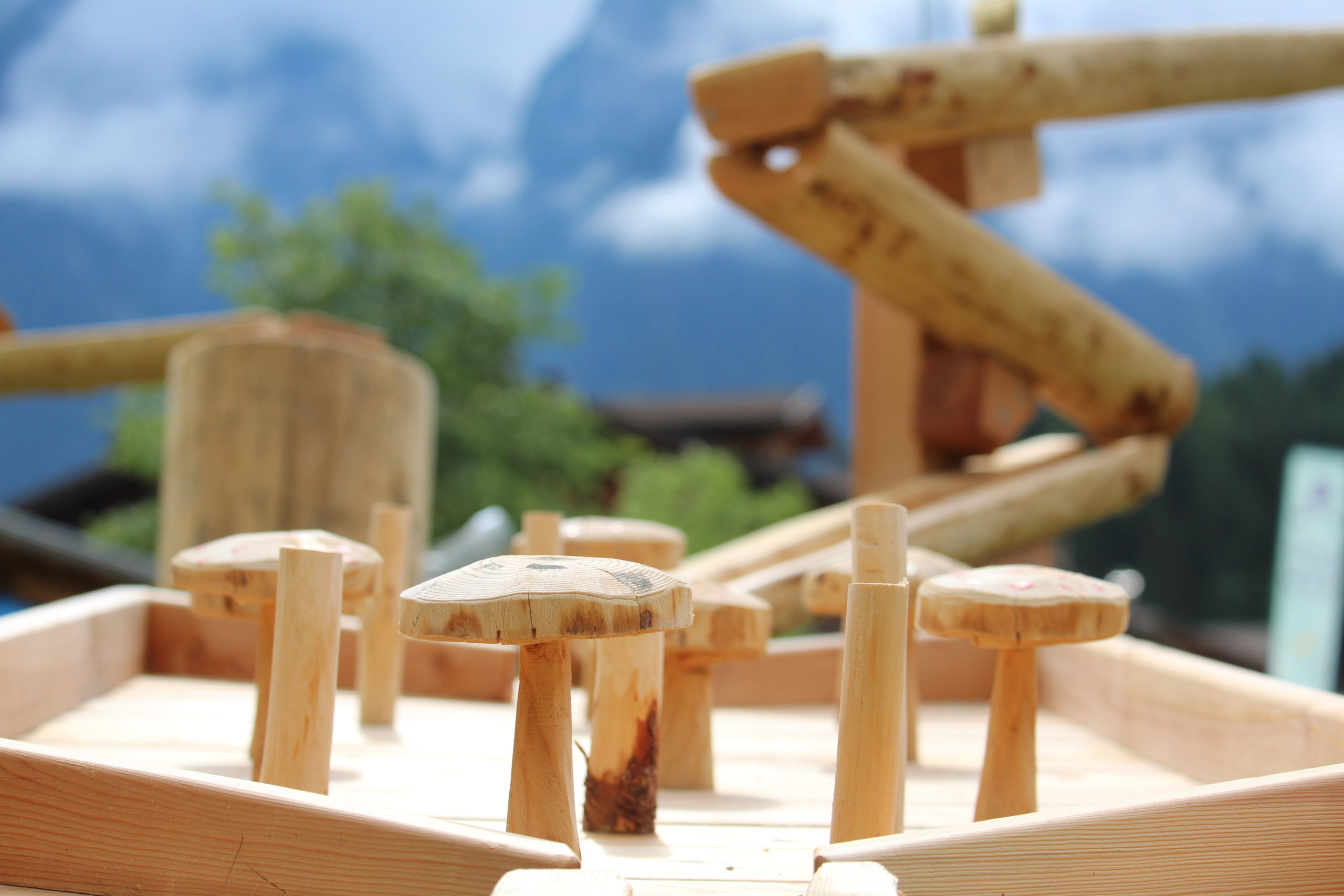 Il nostro gioco per biglie Wild Ball